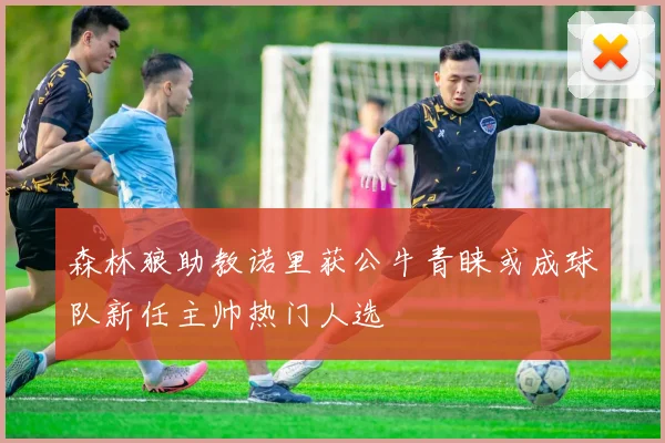森林狼助教诺里获公牛青睐或成球队新任主帅热门人选