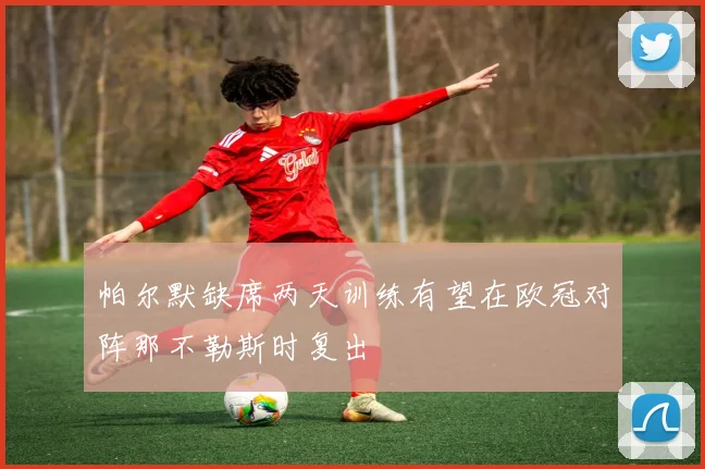 帕尔默缺席两天训练有望在欧冠对阵那不勒斯时复出